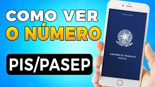 💥RESOLVIDO Como Ver o NÚMERO do PISPASEP de forma FÁCIL [upl. by Narcis170]