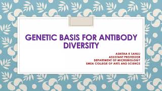 GENETIC BASIS OF ANTIBODY DIVERSITY PART 3 [upl. by Nnire]