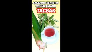 Tagbak tea paraan ng paggawa [upl. by Hercules]