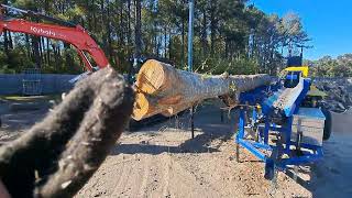 Dyna SC15 Firewood Processor Walk Around [upl. by Cordula]