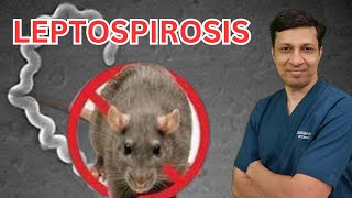 Leptospirosis lecture in hindi Leptospirosis treatment Weils disease in hindi [upl. by Nybbor]