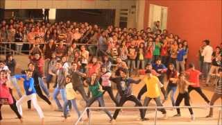 FLASHMOB 2014  VERVE 14 OVERHEAT [upl. by Giess218]