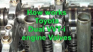 How works Toyota Dual VVTi engine Valves [upl. by Eivad]