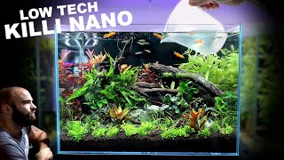 Nano Tank Tutorial LOW TECH Killifish Aquascape [upl. by Assirral]