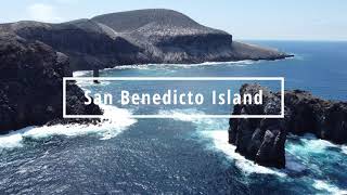 Socorro Part II Diving San Benedicto Island [upl. by Iphlgenia]