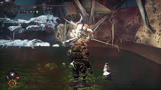 Hellpoint DLC  Mad Scientist Trophy Defeated the Mad Scientist [upl. by Robers]