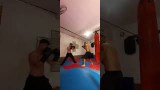 sparring com meu filho Narciso regresso do filho aos ensinamentos [upl. by Asenaj764]