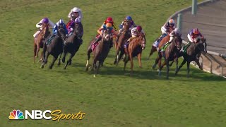 Breeders Cup 2023 The Turf FULL RACE  NBC Sports [upl. by Constanta259]