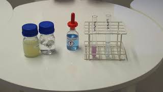 Biuret test IGCSE Biology [upl. by Perren]