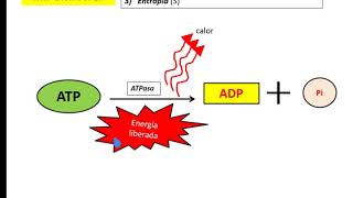 BIOENERGETICA  BIOQUIMICA energía libre entalpía entropía [upl. by Navets]