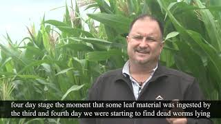 Fortenza Duo  Testimonial from Klein Karoo Seed Trial Farm [upl. by Viridis]