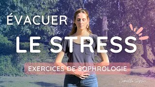 Sophrologie relaxation antistress  3 exercices pour évacuer le stress de la rentrée [upl. by Yecam618]