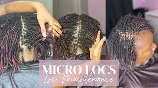 9 12 HOURS LATER  Micro Locs Loc Maintenance  Start To Finish [upl. by Doxia]