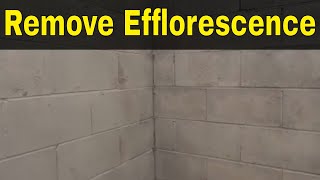 How To Remove Efflorescence EasilyFull Tutorial [upl. by Isle]