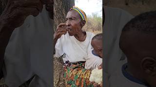 hadzabe eating ugali in the forest hadzabe food [upl. by Adallard775]