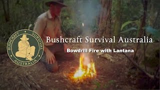 Bushcraft Survival Australia  Bowdrill Fire with Lantana [upl. by Bilbe]