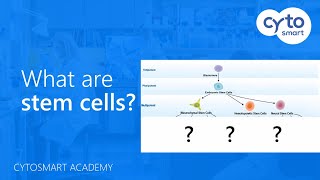 What are stem cells  CytoSMART Academy [upl. by Narda221]