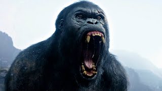 Tarzan vs Mbonga  Fight Scene  The Legend of Tarzan 2016 Movie Clip HD [upl. by Oremar622]