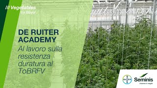 De Ruiter Academy  Al lavoro sulla resistenza duratura al ToBRFV [upl. by Agueda788]