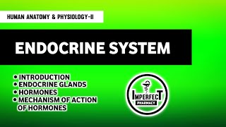 Endocrine System  Anatomy amp Physiology  Mechanism Of Action Of Hormones  B Pharma 2nd Semester [upl. by Salsbury]