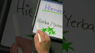 ¿Cómo lo escribirías Hierba hierva o yerba 😲 admisionesalud retos español homonimo viral [upl. by Nevaeh]