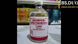 Hướng dẫn kết hợp kháng sinh lincomycin và spectinomycin trong điều trị bệnh đạt hiệu quả cao nhất [upl. by Coy624]