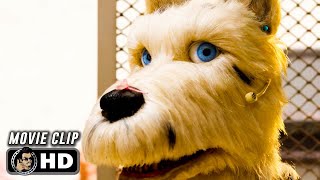 I Dont Know Why I Bite Scene  ISLE OF DOGS 2018 Movie CLIP HD [upl. by Nial904]