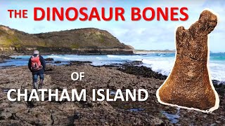 The Chatham Island Dinosaur Locality [upl. by Aennyl]