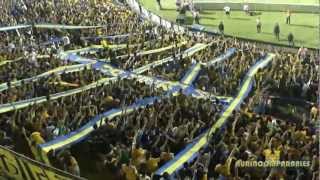 Libres y lokos  Tigres no puedes perder [upl. by Dita707]