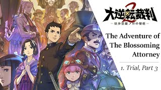 The Great Ace Attorney 2 03  The Adventure of the Blossoming Attorney  Trial 1 33 [upl. by Dallas619]