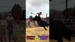 Chaparro de nayarit Vs inteligencia bullrider bullriders jinetes jaripeo jaripeobaile [upl. by Thayer]