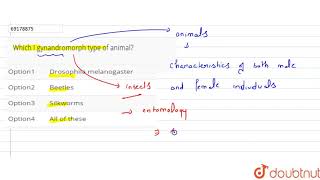 Which I gynandromorph type of animal [upl. by Cromwell]