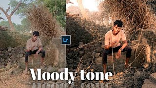 Lightroom😳 Moody Tone colour grading  and Lightroom tutorial lightroomediting [upl. by Panaggio896]