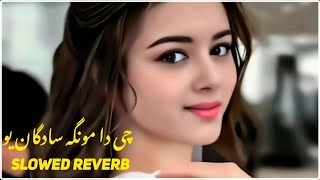 che da munga sadagan u ka da khukole jadogar we pashto slowed reverb song [upl. by Dolhenty]