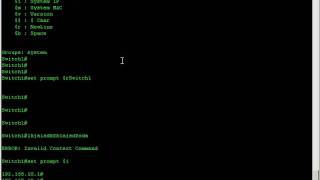 GarrettCom Modifying the command prompt [upl. by Llejk277]