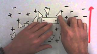 Paper Chromatography Explained [upl. by Waneta]