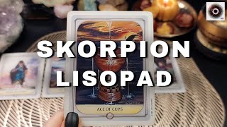 Skorpion ♏ Listopad 2024  Uwierzysz że się uda [upl. by Vida]