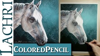 Colored Pencil Demonstration  white horse  Lachri [upl. by Jacquette776]