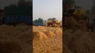 Aadesh bhai ♥️ ka chitta tractor aadesh farming farmer dhan [upl. by Yaj]