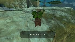 Korok seeds  Tabantha Great Bridge  Ridgeland Tower 26272829  Zelda BOTW [upl. by Zosema105]