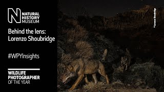 Behind the lens Wolf Mountain by Lorenzo Shoubridge WPYInsights  Natural History Museum [upl. by Hgieleak475]