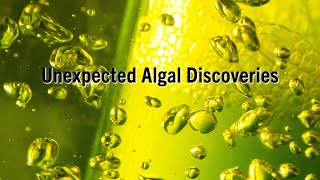 Unexpected Algal Discoveries [upl. by Juli]