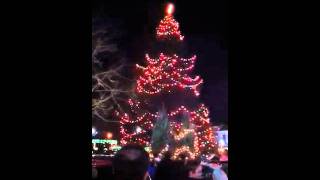 Tree lighting whoops in Chagrin Falls [upl. by Carilla]