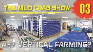 RAS Vertical Farming for Mud Crabs ENGLISH  MALAY Subs  Episode 3  The Mud Crab Show [upl. by Amsirak906]