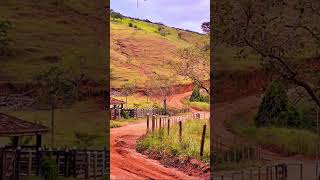 raiz sertanejo musica tonicoetinoco estrada rural 🌿🍂🍃🎶 [upl. by Aihsakal868]