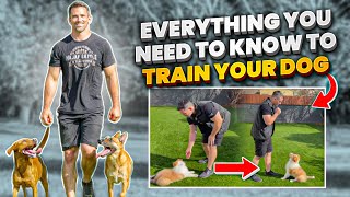 Everything You NEED To KNOW To TRAIN Your DOG [upl. by Herriott988]