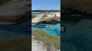 A Yellowstone Swim Takes a Dark Turn [upl. by Alburga]