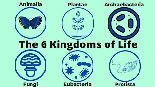 Basic Taxonomy6 Kingdoms of LifeClassification [upl. by Koblas]