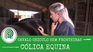 Aprenda a diagnosticar cólicas em cavalos [upl. by Kcinimod]