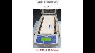 2D Gel Electrophoresis [upl. by Hedwig]